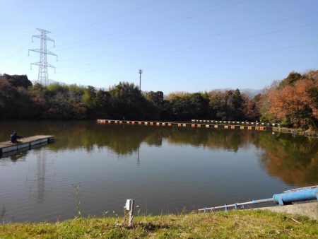 大安トラウトレイク 釣果